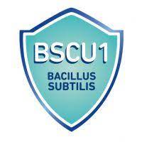 LIFEINU™ Bacillus Subtilis CU1